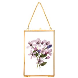 REDHUGO Hanging Pressed Flower Frames, Double Glass Floating Picture Frame Handmade, Glass Frame for Pressed Flowers, Vintage Brass Picture Frame for Artwork Wall Display Mount