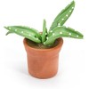 Save Dollar Stores Mini Pot Cactus, Mini Models, Dollhouse, 3.7