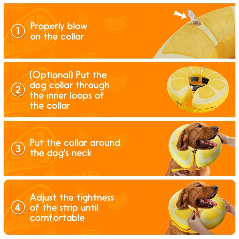 Recovery Collars & Cones (Large)