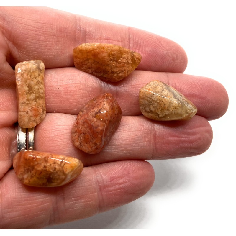 Pink Moss Agate Small Crystal Tumbled Stones - 5 Pc