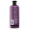 Herbal Essence Bioli Renew Smooth Hair From Core Passion Flower