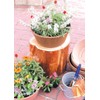 Gardens Eco Pot Series
