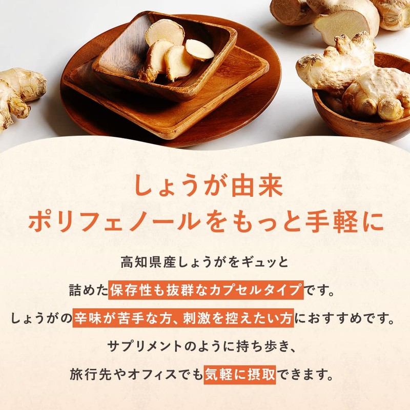 おひさましょうが しょうがカプセル 国産生姜使用 62粒入り サプリメント カプセルタイプ 約1か月分 抹消体温対策 冷え性対策 温活