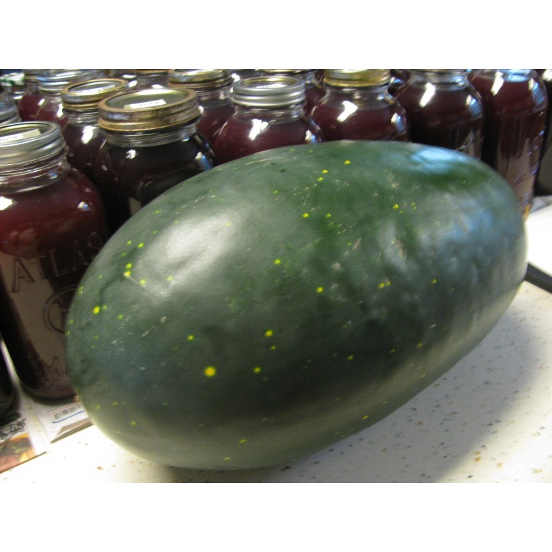 Unbranded Heirloom Melon & Squash Garden Collection-Org