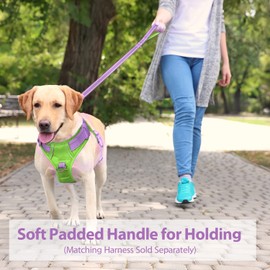 PHOEPET 5 Feet Dog Leash - Dual-Side Reflective - Soft Padded Handle - Fit for Walking, Training or Exploring Hiking, Camping (Baby Purple + Green Base)