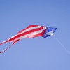 In the Breeze Patriotic Delta Kite with 19-1/2-Feet Flowing Tails