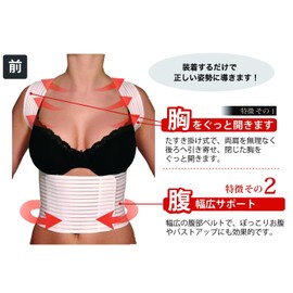 Hydas Back Support Belt