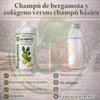 Shampoo Aceite de Bergamota 100%