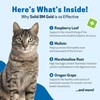 Pet Wellbeing Solid BM Gold for Cats - Supports Healthy