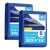 RAINDEWAY Small Tarps 4x6 Feet (2 Pack) 8 Mil, UV