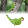 Parrot Figurine Simulation Vivid Innovative Wall Mounted Hand Painted Resin