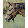 Busse Knot Halter Glint
