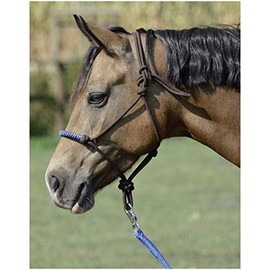 Busse Knot Halter Glint