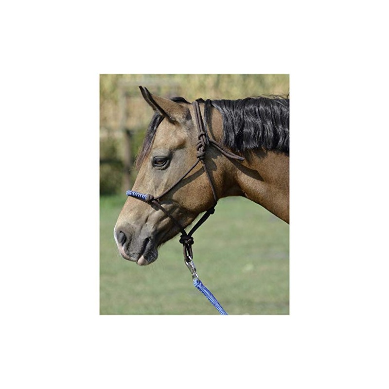 Busse Knot Halter Glint