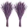 Uieke Dried Lavender Flowers, 16" Dried Lavender Bundles Dried Purple