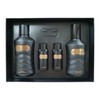 The Face Shop The Black Balm Special Set Skin 140ml+Lotion 130ml+Skin 32ml+Lotion 32ml / 더페이스샵 더 블랙밤 스페셜 세트 스킨140ml+로션130ml+스킨32ml+로션32ml