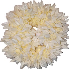 CREATIVE ZONE Artificial Mogra Rubber Band Plastic Flower for Women Pack of 1 White Gajra(35 Grams)