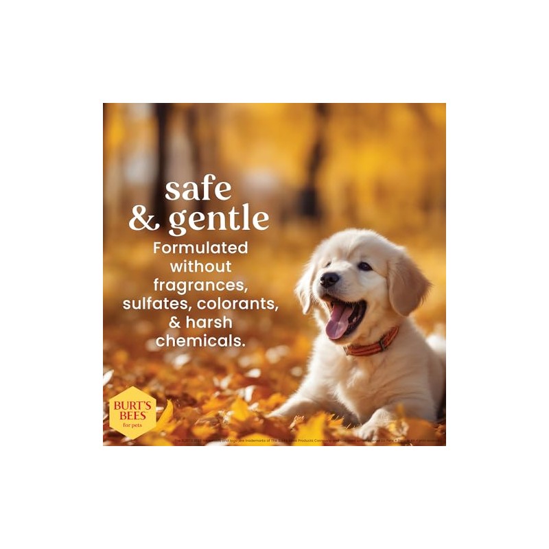 Burts Bee 2in1 Tearless Puppy Shampoo, 16-Ounce
