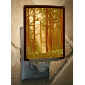 Woodland Sunbeams Colored Porcelain Lithophane Night Light