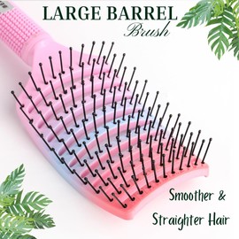 Curved Vented Hair Brush, Professional Styling, Large-barrel Brush for Blow-Drying, Detangling Brush for Dry Wet Curly Thick, Unisex Men Women, Kids Boys Girls (WHITE)