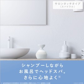 Panasonic EH-HE9G-S Scalp Beauty Salon Touch Type (Spiral) Silver Tone