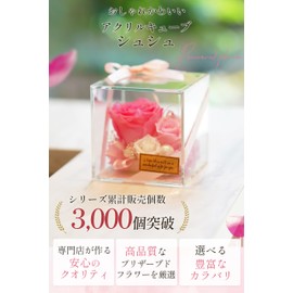 IPFA Preserved Flower Scrunchie Present, Rose, Acrylic Box (Birthday, Wedding Gift, Retirement Gift, 60th Birthday), Flower Gift, Celebration (Pink)