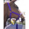 Roma Headcollar & Lead Set, Red, Full