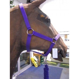 Roma Headcollar & Lead Set, Red, Full