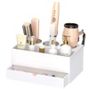 NIUBEE Hair Tool Organizer, White Acrylic Hair Dryer and Styling