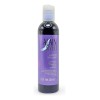 Shampoo Alain Sivert Matizador Para Cabellos Gris Y Blancos