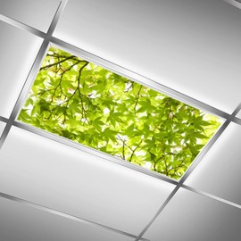 C.IOPMNU 2 Pack Fluorescent Light Cover for Classroom, Green Tree Leaf Drop Ceiling Decorative Film Filter,Green Leaf Eliminate Harsh Glare Causing Eyestrain and Headaches…