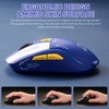 DAREU A950 Wireless Gaming Mouse with RGB Charging Dock,88g Lightweight