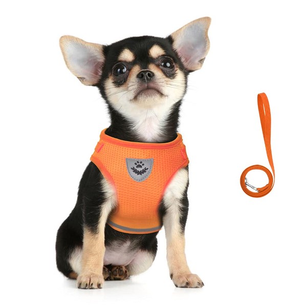 FeiLuo Dog Harness and Lead Set, Soft Mesh Padded Harness