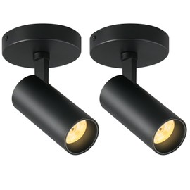 APPRONLIT Black Led Ceiling Spot Lights 5CCT Selectable Dimmable led Spot Lights Indoor 12W, CRI90 Adjustable Flush Mount Fixture 24° Accent Lighting for Living Room Bedroom 2 Packs