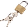 Gold and Silver Small Size Wolf Dog Copper Padlock Wolf