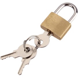 Gold and Silver Small Size Wolf Dog Copper Padlock Wolf Head Brass Lock Small Locks Door Locks Anti-Rust Lock Core with 3 Keys,Padlocks,Padlocks and Hasps