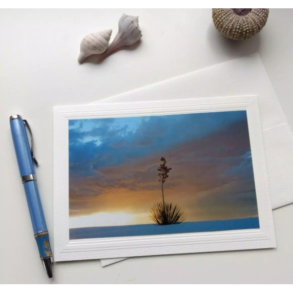 Unbranded 4 Variety Nature Themed Blank Note Cards w/ Envelopes,