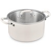 6 Quart Pot with Lid, BEZIA Tri-Ply Stainless Steel Stock