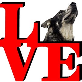 Norwegian Elk Hound Dog Love Park Cute Dog Fridge Refrigerator Car Magnet