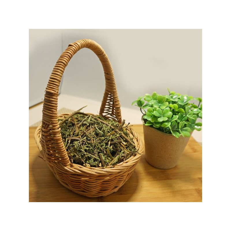 참두리 인진쑥 300g(국내산)/쑥/약쑥/개똥쑥/쑥 환 등 Chamdu-ri Mugwort 300g (Domestic) /