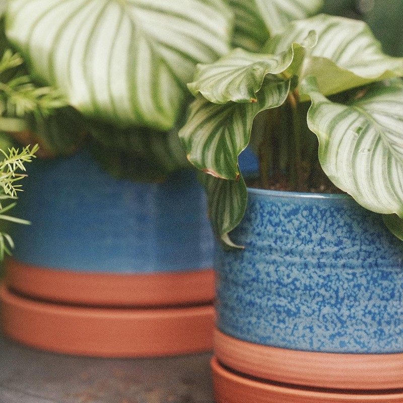 HERDUK 8 Inch Pots for Plants, Ceramic Planter Pot with