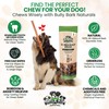 Bully Bark 100% Natural 12” Bully Sticks – 3 Count