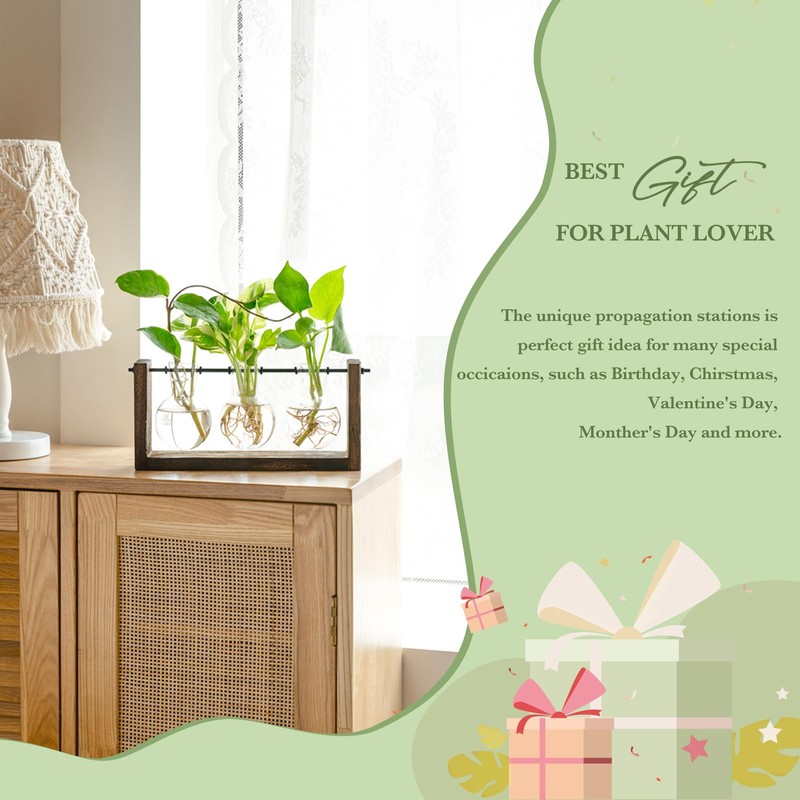 Mkono Plant Propagation Station with Wooden Stand, Wall Hanging Glass