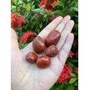 GAF TREASURES Wholesale Red Jasper Tumbled Stones, Polished Red Jasper