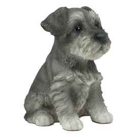 Ebros Realistic Miniature Schnauzer Puppy Statue 6.5" Tall Animal Dog Collectible Lifelike Schnauzer Figurine Decor