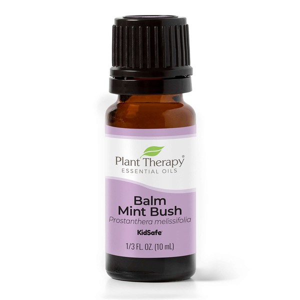 Plant Therapy Balm Mint Bush Essential Oil 10 mL (1/3 oz) 100% Pure, Undiluted, Therapeutic Grade
