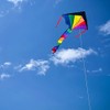 In the Breeze Mini Rainbow Fly Hi Delta Kite,2905