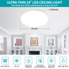Glowall 24 Inch Large Flush Mount Ceiling Light Fixture, Ultra