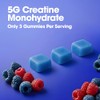 Optimum Nutrition Creatine Monohydrate Gummies, Blue Raspberry Flavor, 105 Count,