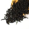 GOARTEA 500g / 17.6oz Premium Fujian Wuyi Da Hong Pao